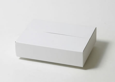 すっきりした外形の型抜き製作箱－Ａ形段ボール箱