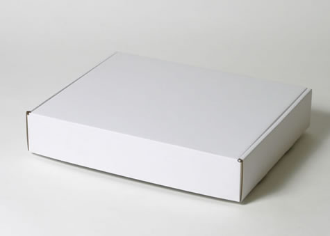 平たく大きなものを梱包するのに最適なN式ボックス－Ｎタイプ額縁形