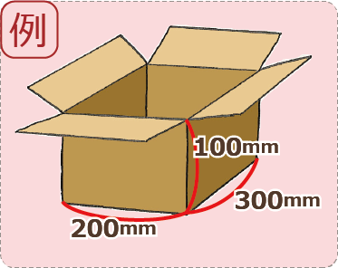 長さ300(mm)× 幅200(mm)× 深さ100(mm)