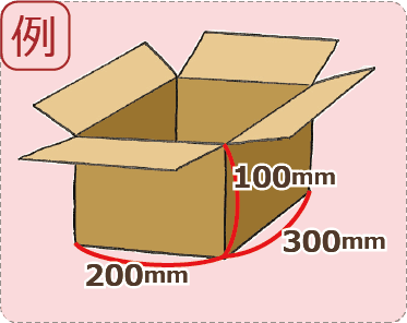 長さ300(mm)× 幅200(mm)× 深さ100(mm)