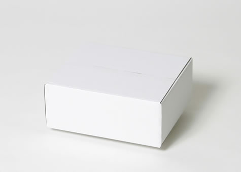 すっきりした形状の型抜き製作箱－Ａタイプ段ボール箱