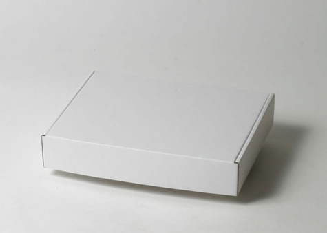 便利なCDケース梱包専用カートン-N式額縁形CD固定用段ボールケース