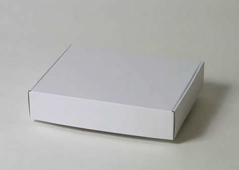 美術品や建築部材サンプルの梱包にも使われる箱－Ｎ型額縁