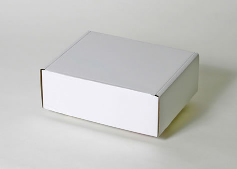 材料を変更すればクール便にも対応可能な箱－Ｎタイプ額縁形段ボール箱