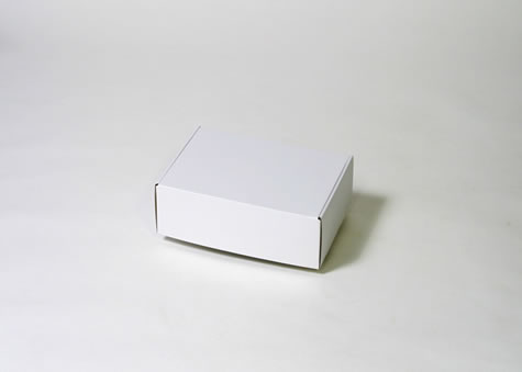 ハードカバーの本でもすっぽりと入る大きさの段ボール箱－Ｎタイプ額縁形ケース