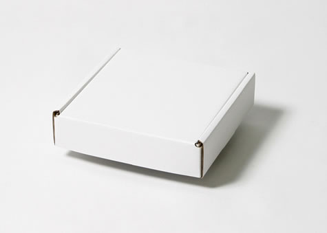 電子ブックの出荷にも使える組み立て式段ボール箱－Ｎ形額縁ボックス