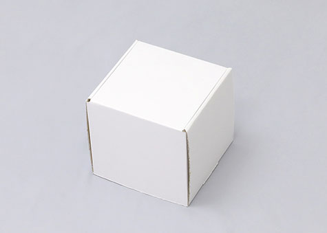 120×120×120mmでN式額縁タイプの箱ーN式額縁箱