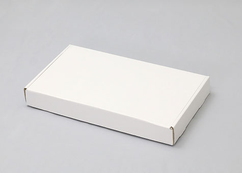 451×251×53mmでN式額縁タイプの箱ーN式額縁箱