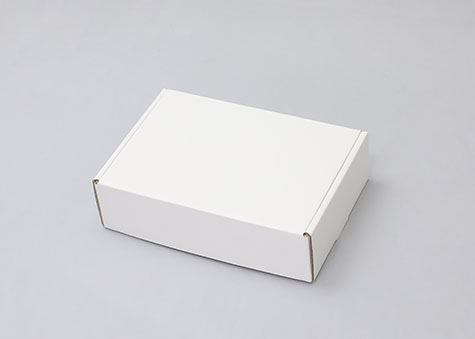 314×220×90mmでN式額縁タイプの箱ーN式額縁箱