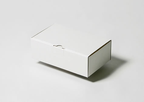 Ｎ式簡易型の組み易さとロックの密封性を兼ね備えた箱－Ｎタイプ簡易ボックス