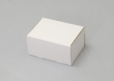 162×120×83mmでN式簡易タイプの箱ーN式簡易箱