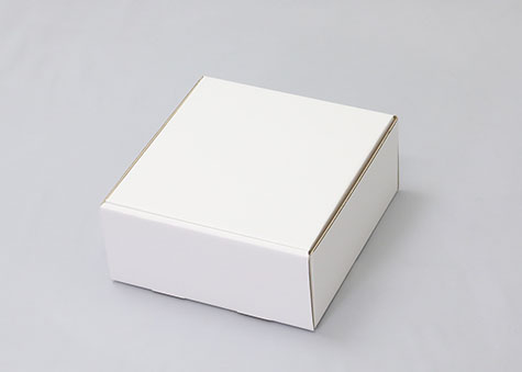 235×245×105mmでN式簡易タイプの箱ーN式簡易箱