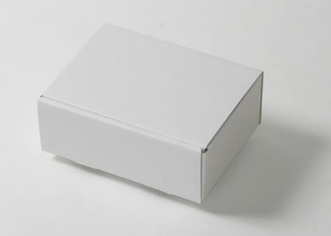 洋形特1号封筒の保管にもちょうどいいサイズの箱－Ｎ形蓋差込みタイプ段ボール箱