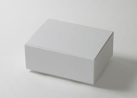 ちょっとボリュームのあるプレゼントにも使える箱－Ｎ形蓋差込みタイプ段ボール箱