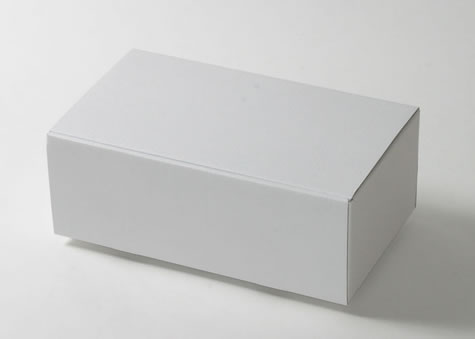 蓋の開け閉めもしやすく日常的に使う物の保管にも使える箱-N形蓋差込みBOX
