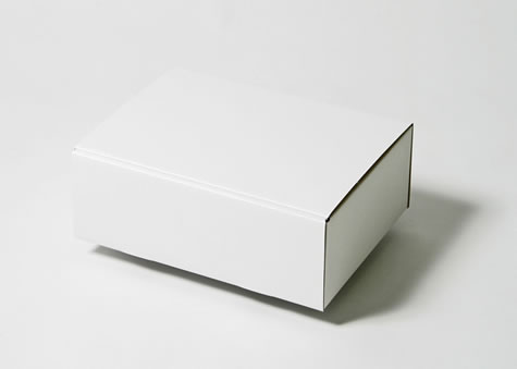 お米贈呈品用に使われている箱－Ｎ式蓋差し込みタイプ段ボールケース
